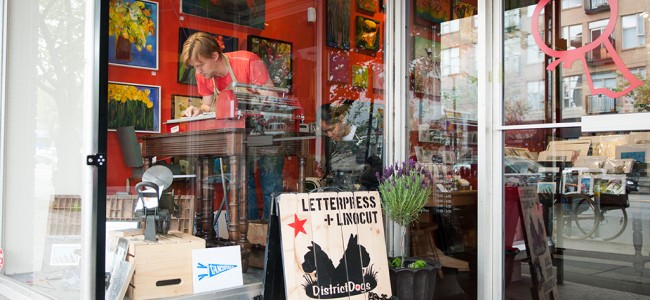 District Dogs In The Window At Bird On A Wire District Dogs In The Window At Bird On A Wire