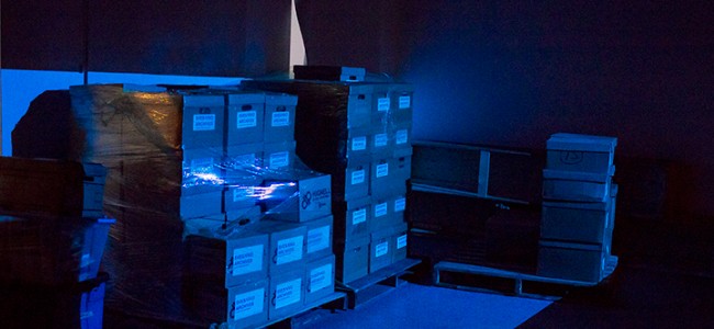 VIVO’s Tell-Tale Heart VIVO’s Tell-Tale Heart