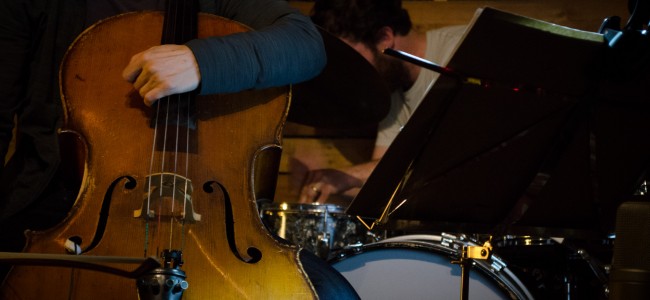 Dogs Do Dream & Sick Boss Dogs Do Dream & Sick Boss