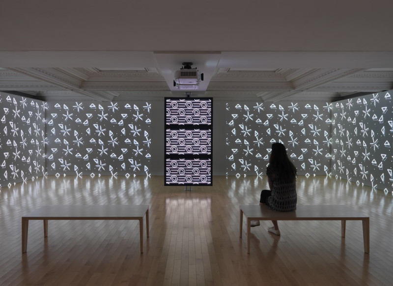Sylvain Sailly, BRECHRIOc and DIATOM1a, 2015 (installation view), computer-generated animation. Courtesy of the artist. Photo by Rachel Topham, Vancouver Art Gallery.